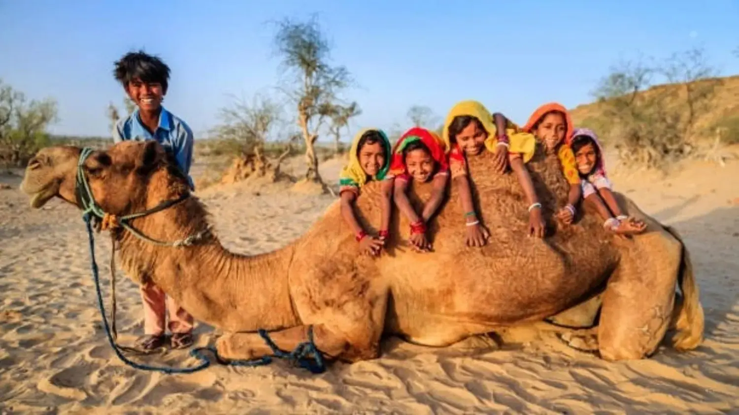 Royal Rajasthan Tour 5N6D