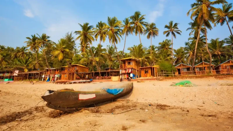  Discover the Majestic Golden Triangle