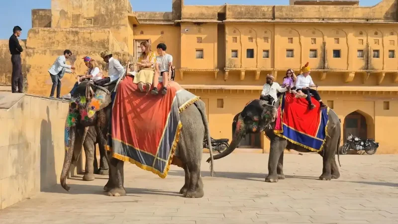  Discover the Majestic 6 Days